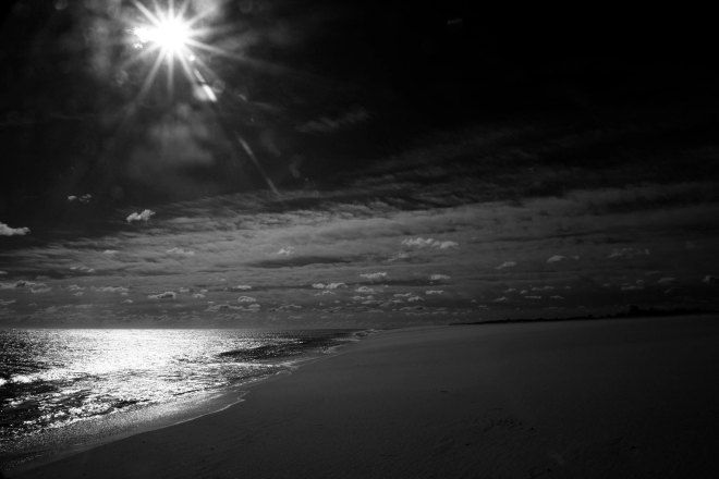 cape henlopen B&amp;W